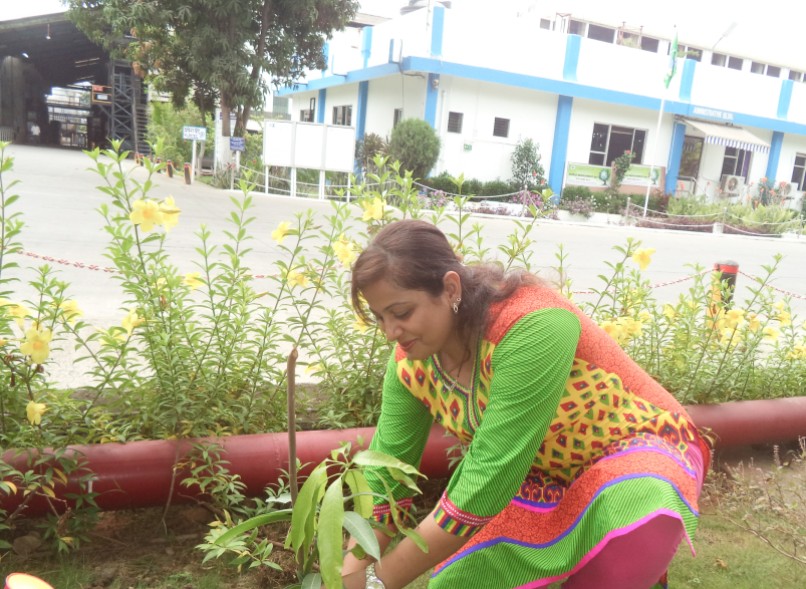 Environmental responsibility