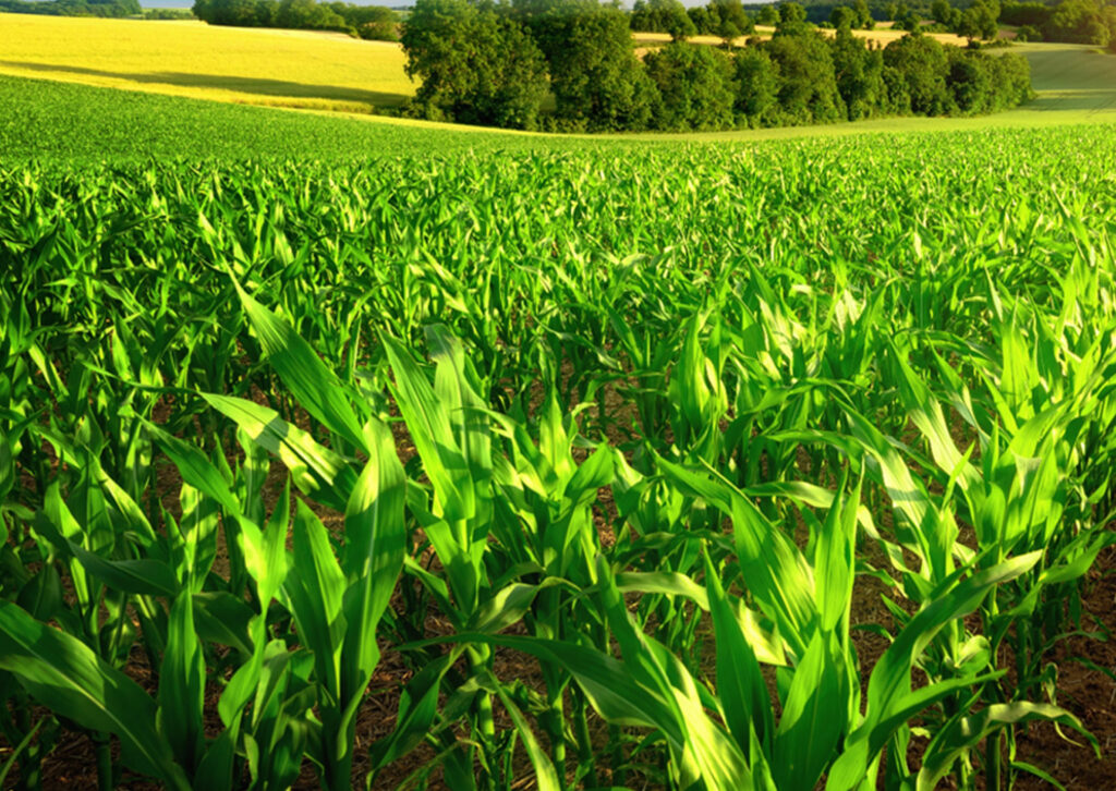 APAR Introduces POWEROIL TO NE Premium’ Transformer Oil – Cable Community