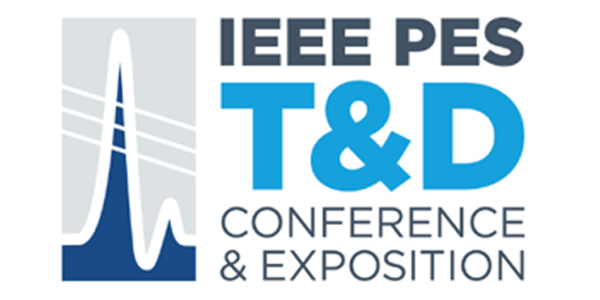 IEEE Conference 2024